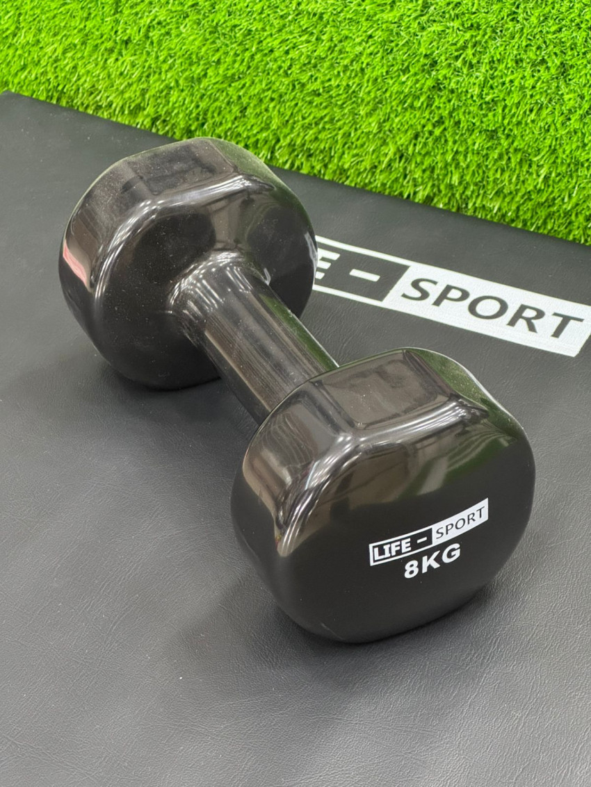 Vinyl Dumbbell / 8 kg