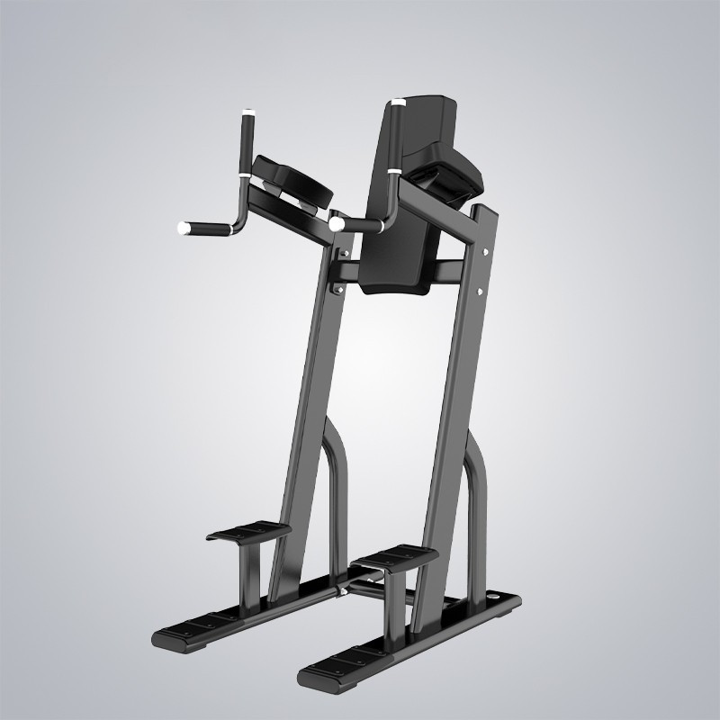Life-Sport Vertical Knee Up/Dip